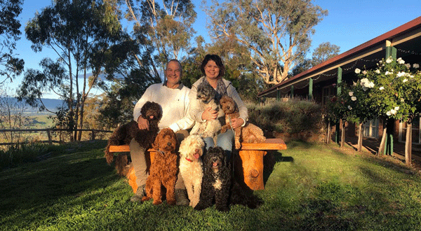 Katrina and Hamish have been breeding gorgeous, multi-generational labradoodles since 2005.   They live on a lifestyle property in North East, Victoria on top of a big hill (the name Burrinjuck is an Aboriginal word meaning 'steep hill')