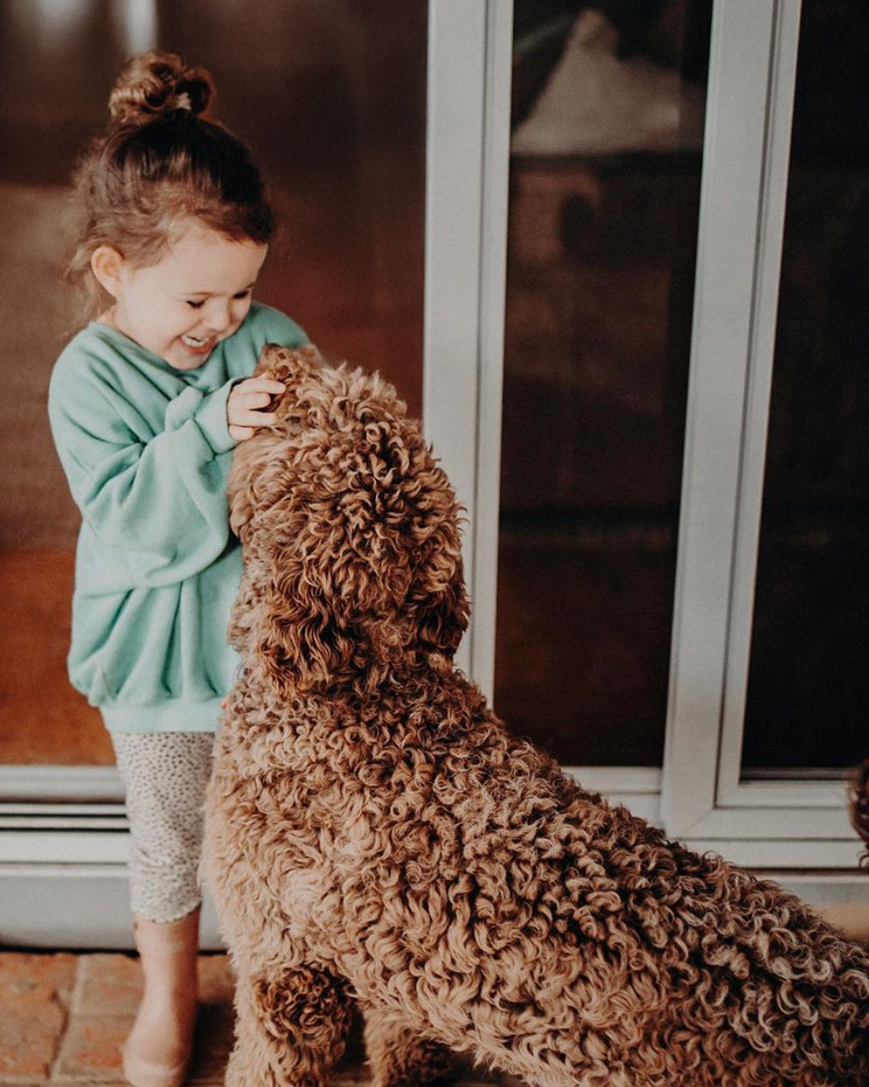Child sharing a tender moment with a Labradoodle